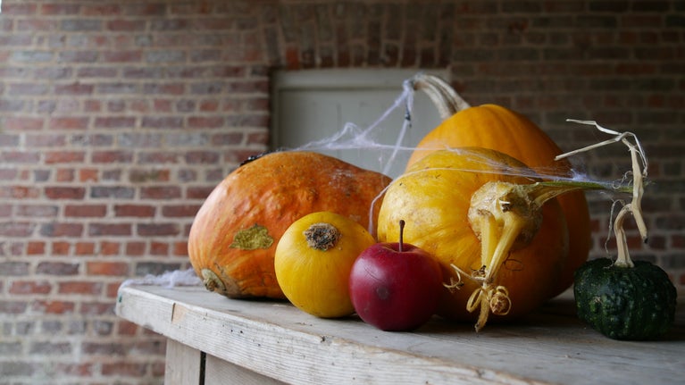 Display of pumpkins and squashes in the stableyard at the Argory, County Armagh